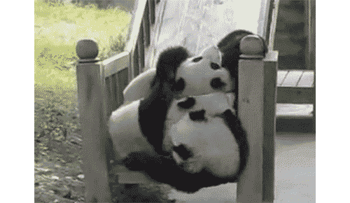pandyyyy