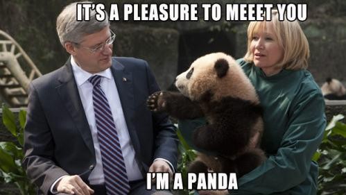 Teší ma, ja som Panda :)